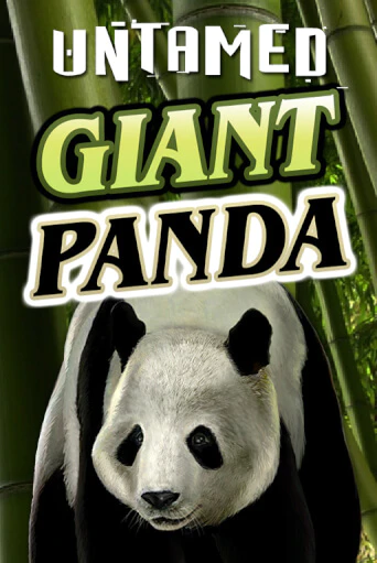 Untamed - Giant Panda демо онлайн | Вулкан Гранд бесплатная игра