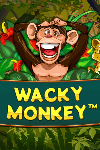 Wacky Monkey демо онлайн | Вулкан Гранд бесплатная игра