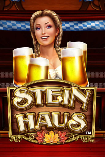 Stein Haus демо онлайн | Вулкан Гранд бесплатная игра